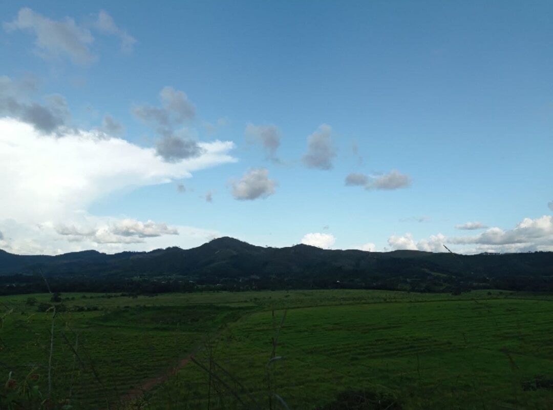 https://staging.iunav.edu.ve/wp-content/uploads/2021/08/photo_2021-08-26_12-34-04-1080x800.jpg